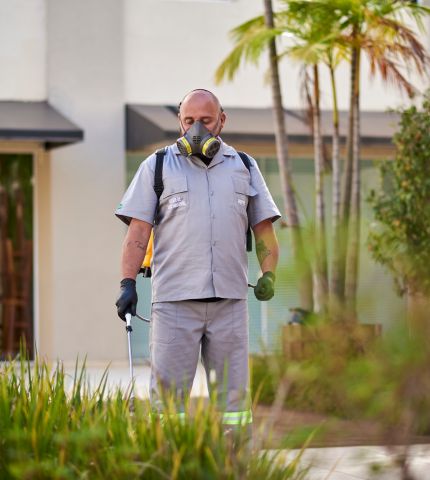 Àrtica Ambiental imagem