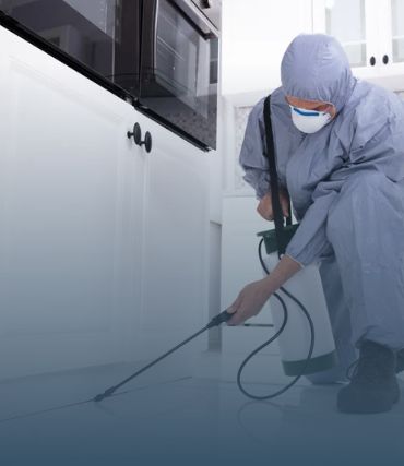 Àrtica Ambiental imagem