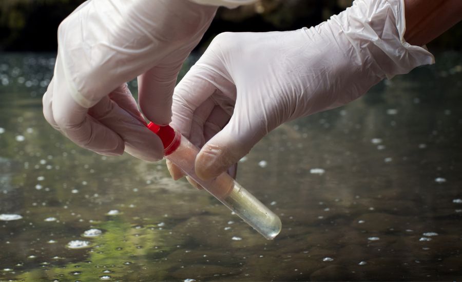 Àrtica Ambiental imagem